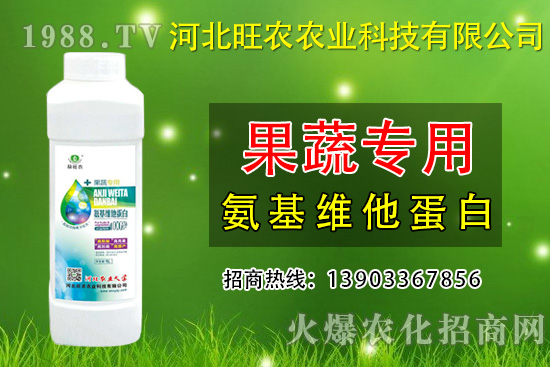 枇杷種植為什么會裂果呢?預(yù)防枇杷裂果措施有哪些?