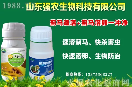 秋冬11月種植什么蔬菜比較合適？蔬菜種植注意事項(xiàng)！