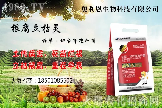 果樹栽培四大誤區(qū)有哪幾點(diǎn)？如何提高果樹栽植的成活率？