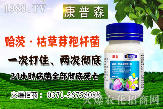 С���r��ֹ���ط�(w��n)��С���r���ܝq���٣�