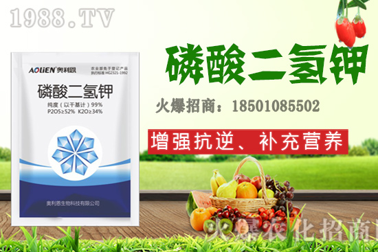 ����ʩ�D�ʺ�̎����Щ����Щ����Ҫʩ���D��ԓ��ôʩ��