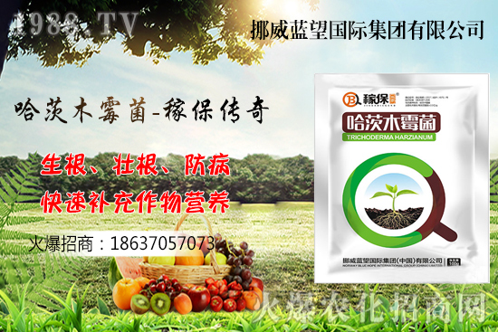 �ի@���С����΃�(ch��)������С����(ch��)���P(gu��n)�I�c(di��n)������