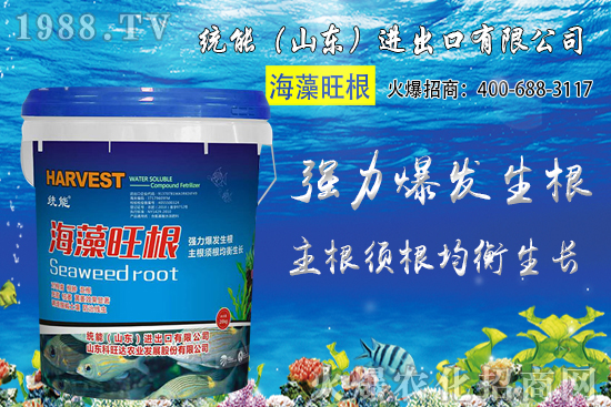 С���Nֲ�r(sh��)�g��δ_����2020��С���Nֲע����Щ���}��