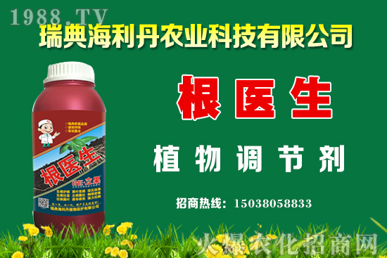 油菜怎么管理能提高產(chǎn)量？油菜抗寒防凍措施有哪些？