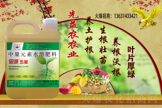 小麥價格多少錢一斤？今日小麥價格行情！