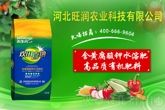 ���@����Ĥ��ô�Ч���������@䁷���Ĥ��Ҫ�c(di��n)��