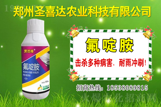 生姜播種方法有哪些？生姜可以和什么作物套種？