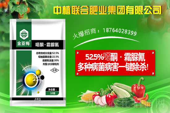 11月19日國內(nèi)部分產(chǎn)區(qū)花生價格