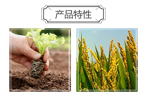 ���ԭҺ-�W���r(n��ng)�I(y��)_05