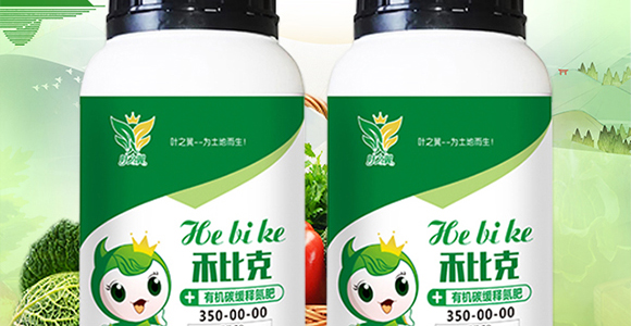 ��������-���R�S_02