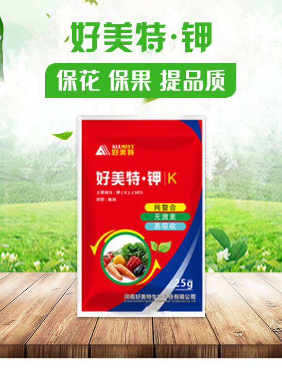 �����ء��-������_01