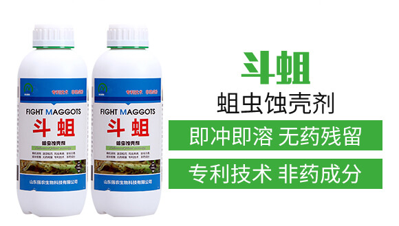 蛆蟲蝕殼劑-斗蛆-強農生物_04