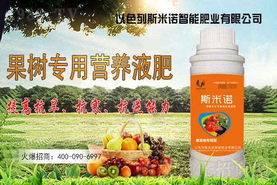 大豆價格持續(xù)“高漲”?今日東北大豆報價一覽!