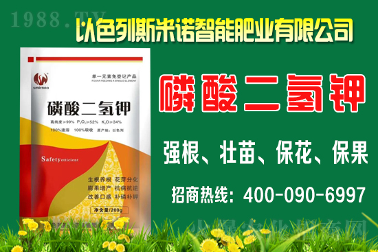 ����ʲô�r(sh��)�gʩ�������ٵ�ʩ�ʕr(sh��)�g��������B��