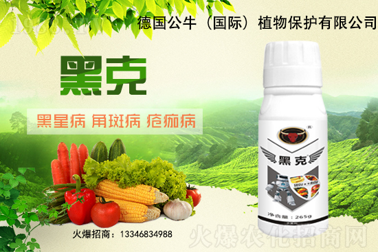 東北大豆能破3元/斤嗎？11月28日大豆價格行情