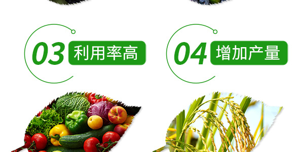 22%苯醚·咯·噻蟲(chóng)-尚巧-國(guó)人福_07