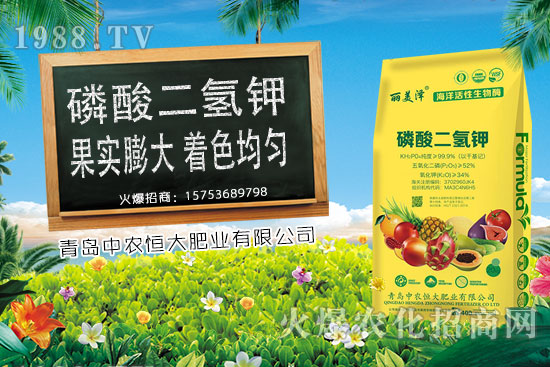 今日小麥價(jià)格上漲，后期是否會持續(xù)上漲？