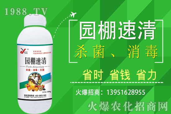 2020��11��5�վֲ������r������