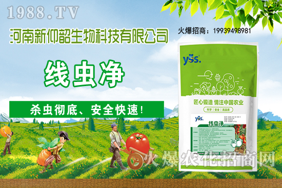 11月6日國內(nèi)小麥價格大多穩(wěn)，局部小幅波動！