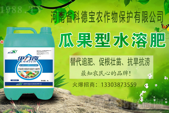 �����M��Ě��ʲô�r�����������������x�M��Ě�ȣ�