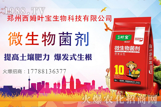     11��7�ղ��օ^(q��)�����r������C��������