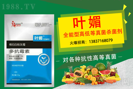 ����������(y��n)��̫�y�p������p�ɽ�Q��