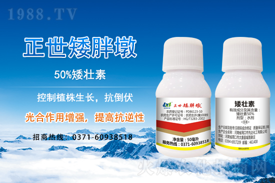 С����ǰ���L(zh��ng)��ʲôΣ������ȡʲô��ʩ����Ч��ͽ�L(zh��ng)��