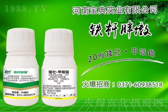 С����ǰ���L(zh��ng)��ʲôΣ������ȡʲô��ʩ����Ч��ͽ�L(zh��ng)��