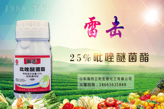 魔芋價格多少錢一斤？2021年魔芋種植前景如何？