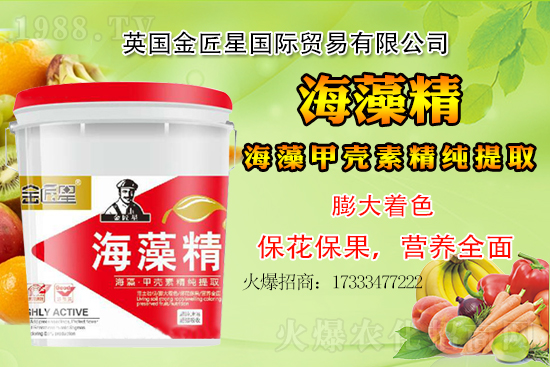 小麥價格還會出現(xiàn)大漲嗎?小麥行情總結(jié)!