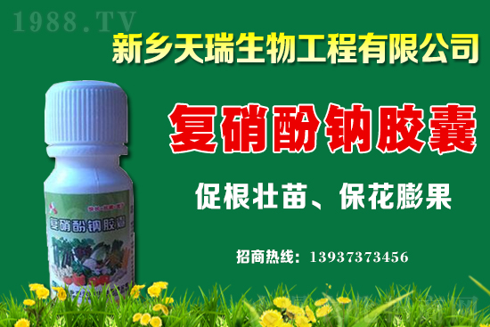 ���[һ�����ܮa(ch��n)���ٽ������[�r�����ϝq��