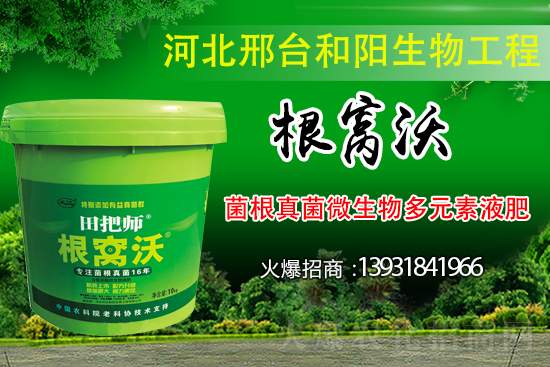 ��Щ��������������������ȡʲô��ʩ���Է�����