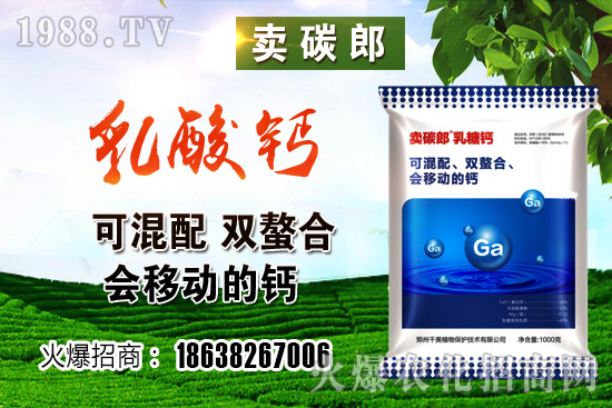 政策阻力較大，小麥價格整體高位趨穩(wěn)！