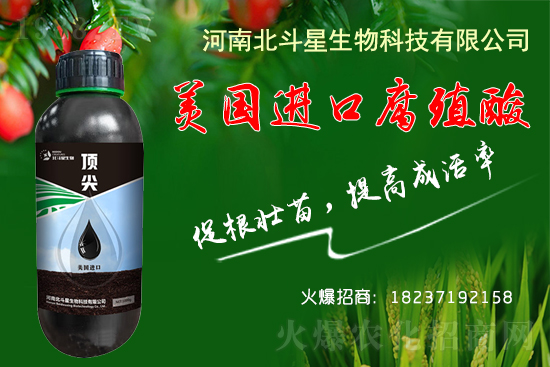 �ؗ͜l���£�����Nֲ��������������B(y��ng)�����o(h��)��