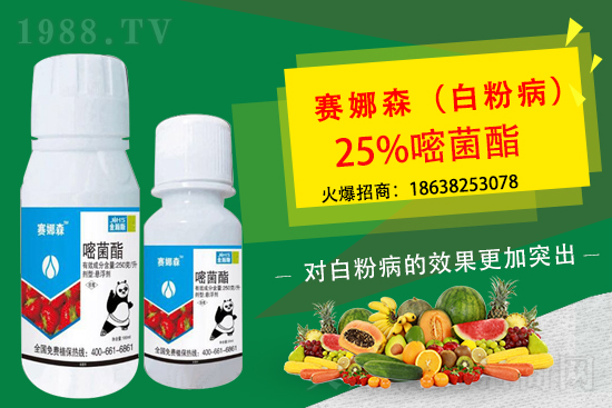 ��ݮ�׷۲����u���p�~��������ݮ�׷۲�Ҫ��η��أ�