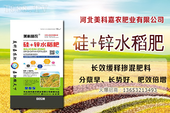 �󶹃r(ji��)���^�m(x��)�ϝq(�����մ󶹃r(ji��)��)