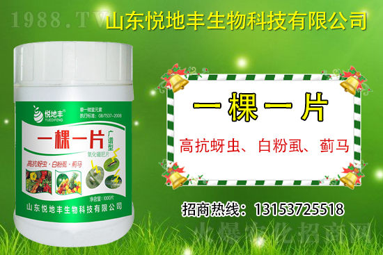 �߿����x���׷�ʭ���E�R��ʲô����һ�x������