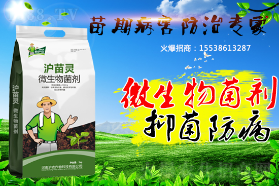 �������ڲ����������������������A(y��)����������(hu��)�ˆ���