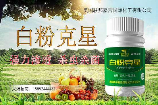 �����׷۲�����y�Է��أ������׷۲������ˎ����Ч������