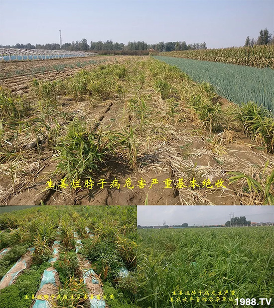     �l(f��)�������a(ch��n)Ʒ������أ�n������ʽ���ؠ����Ӳ����Ñ���������Ч����������