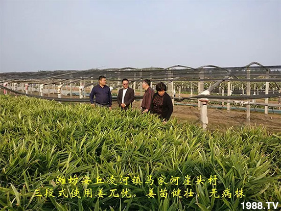     �l(f��)�������a(ch��n)Ʒ������أ�n������ʽ���ؠ����Ӳ����Ñ���������Ч����������