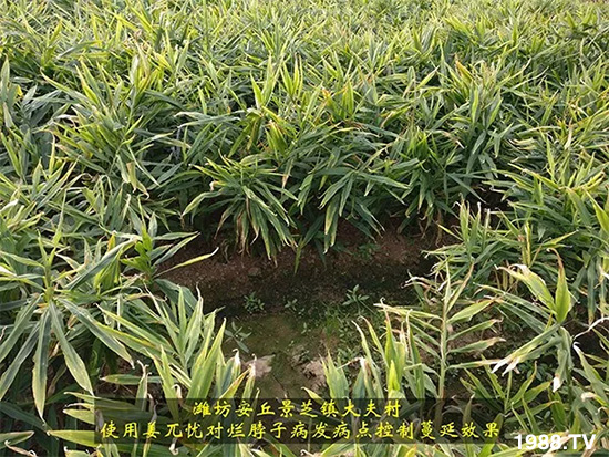     �l(f��)�������a(ch��n)Ʒ������أ�n������ʽ���ؠ����Ӳ����Ñ���������Ч�������ˣ�