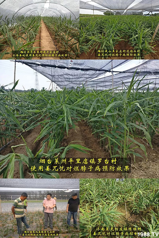     �l(f��)�������a(ch��n)Ʒ������أ�n������ʽ���ؠ����Ӳ����Ñ���������Ч�������ˣ�