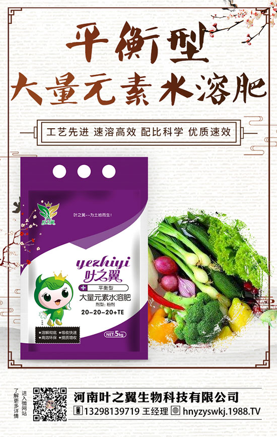 牡丹什么時(shí)候開花?如何延長牡丹開花時(shí)間?