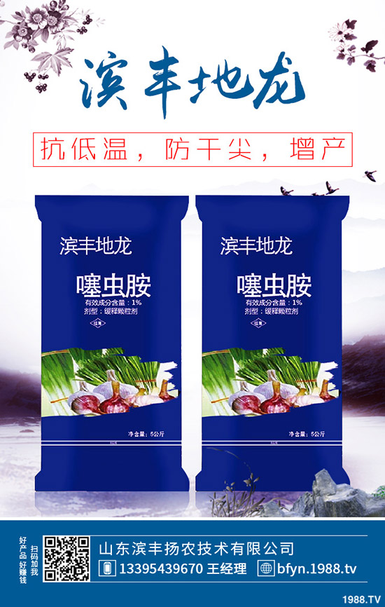 今日最新國內(nèi)復合肥價格走勢及交易日評: