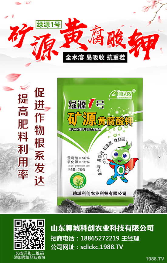 大棚番茄春季該如何澆水？大棚番茄的澆水方法(建議收藏)