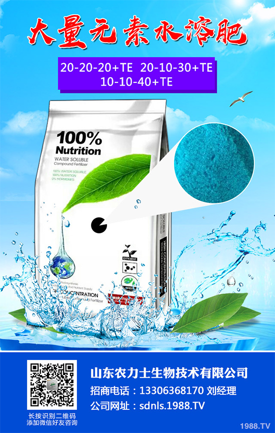 大棚番茄春季該如何澆水？大棚番茄的澆水方法(建議收藏)