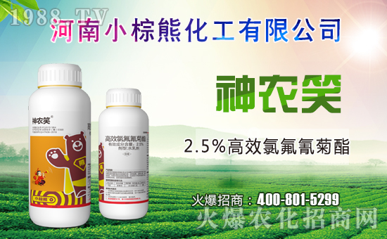 小棕熊化工成功簽約1988.TV,攜手共創(chuàng)新戰(zhàn)績(jī)!