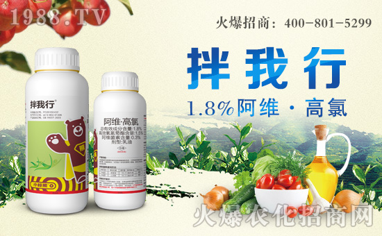 小棕熊化工成功簽約1988.TV,攜手共創(chuàng)新戰(zhàn)績(jī)!