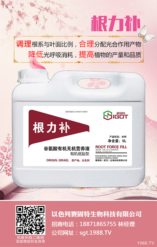 С��������Ҋ(ji��n)�Ĳ�������Щ��ԓ��η���������С���������η�����B